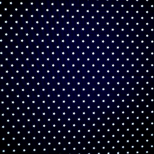 star021 NAVY
