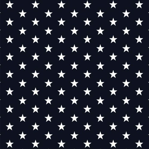 star002 NAVY