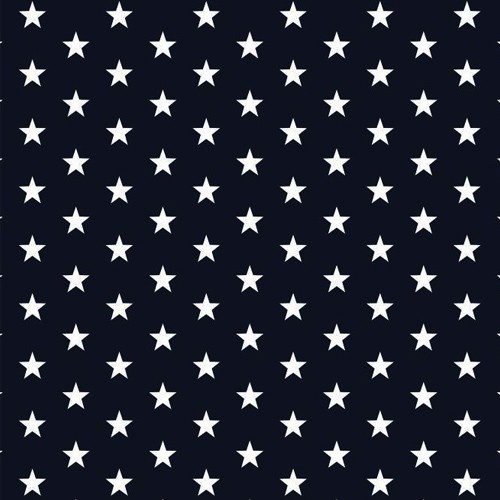 star002 NAVY